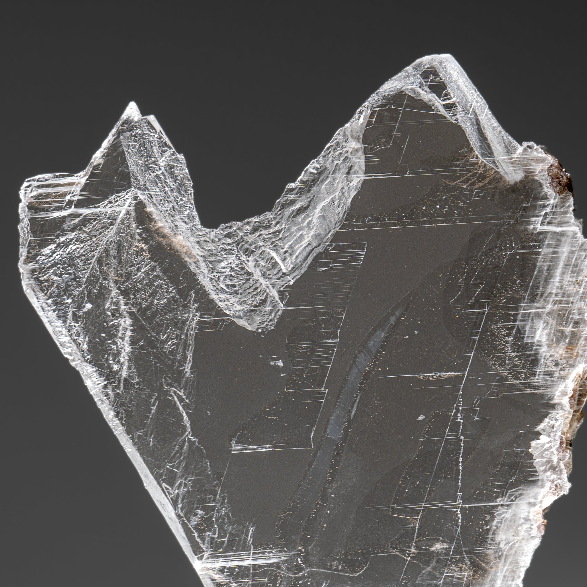 Gypsum Var. Selenite on Matrix from Rio Grande do Sul, Brazil (4.2 lbs)