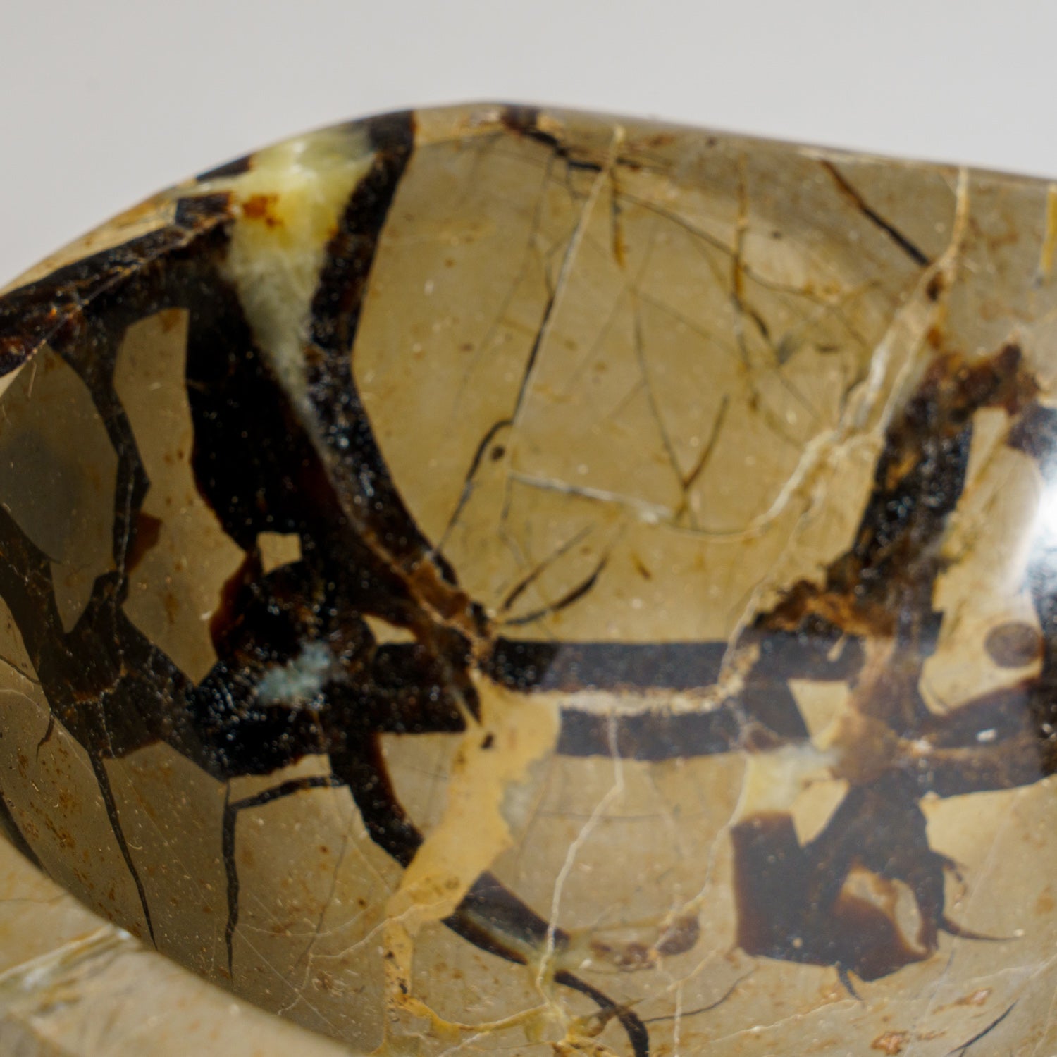 Genuine Polished Septarian Bowl from Madagascar (3.5 lbs)