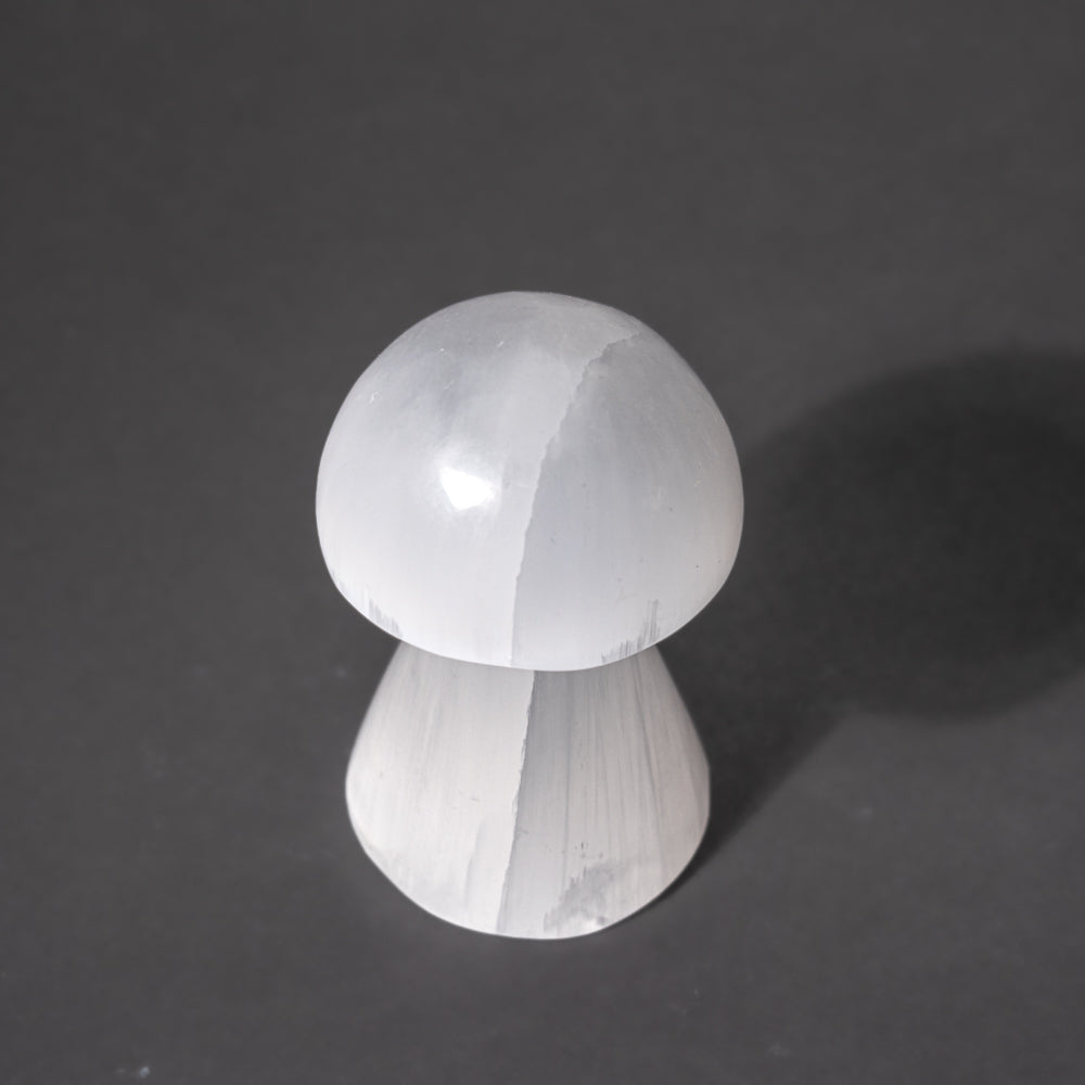 Genuine Polished Selenite Crystal Reiki Mushroom (Large)