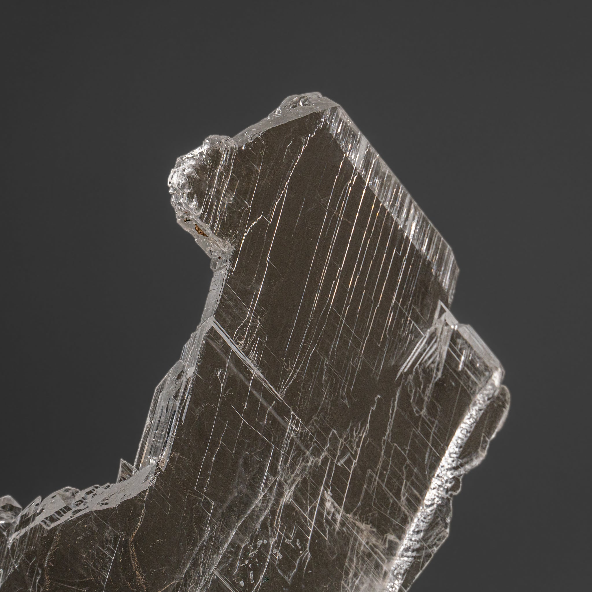 Gypsum Var. Selenite on Matrix from Rio Grande do Sul, Brazil (9.5 lbs)