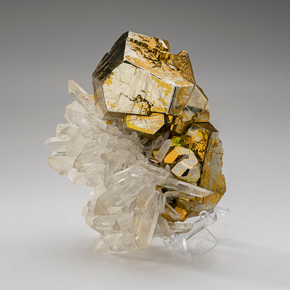 Pyrite on Quartz from Spruce Claim, King County, Washington
