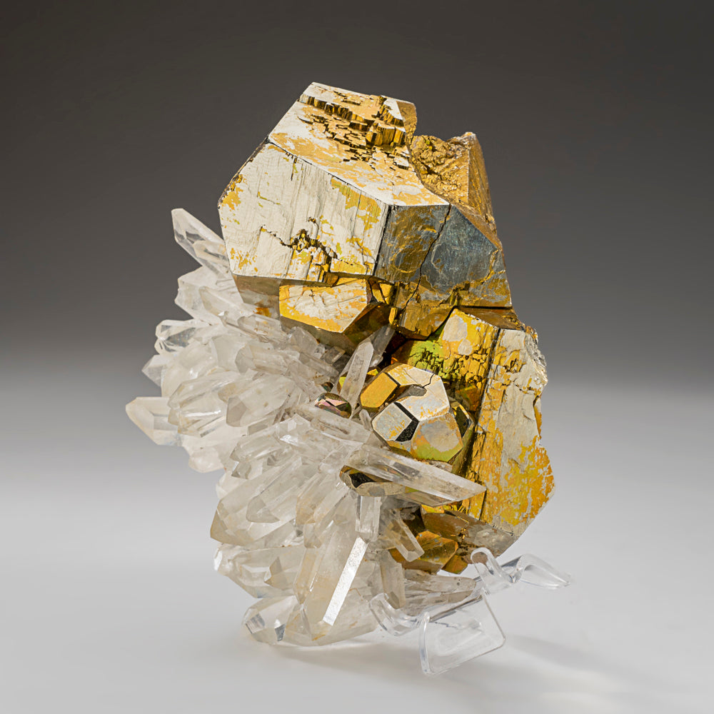 Pyrite on Quartz from Spruce Claim, King County, Washington