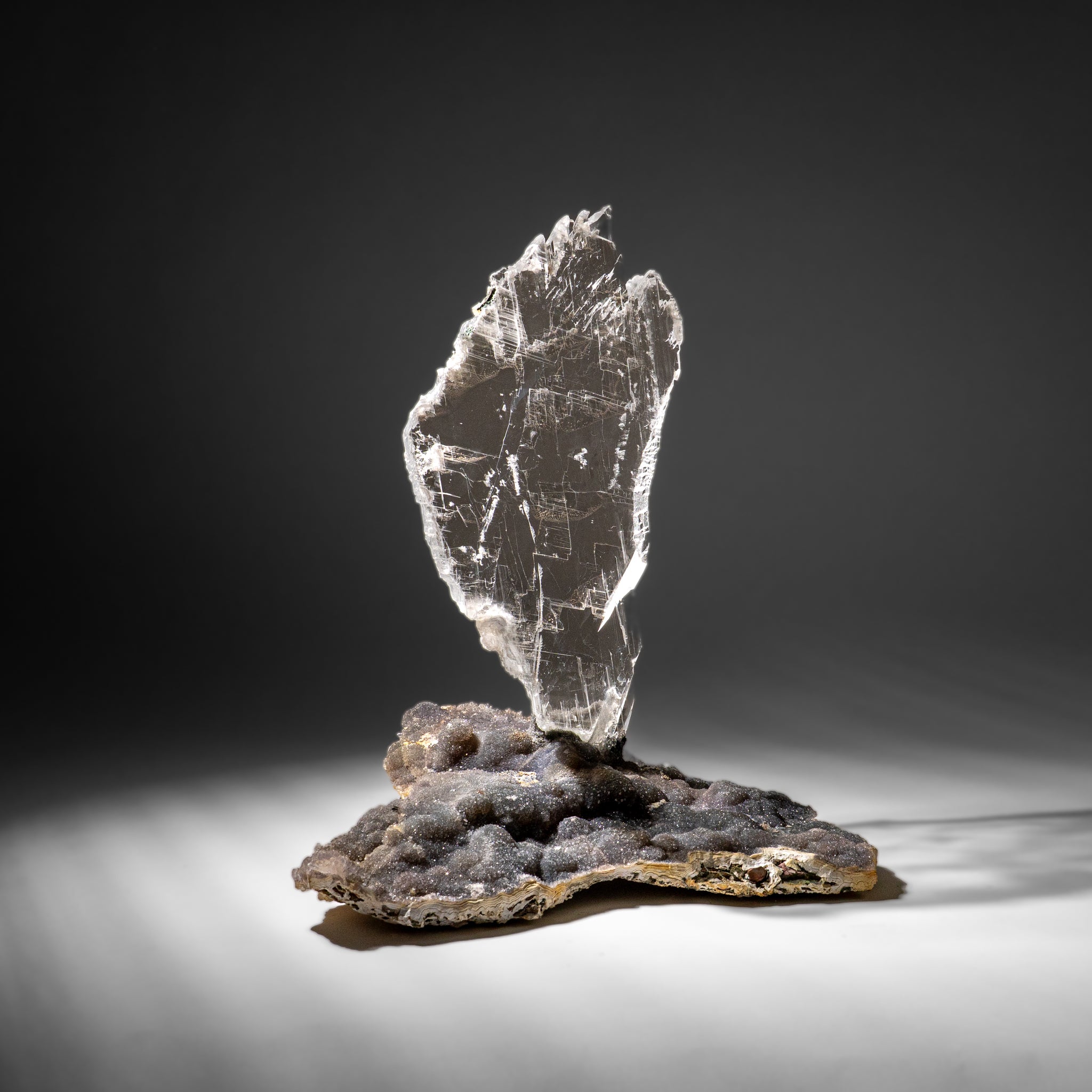 Gypsum Var. Selenite on Matrix from Rio Grande do Sul, Brazil (11.5 lbs)