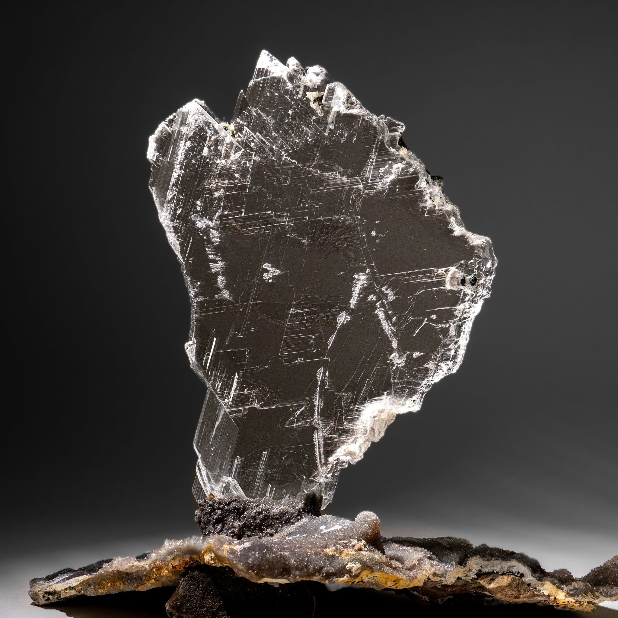 Gypsum Var. Selenite on Matrix from Rio Grande do Sul, Brazil (11.5 lbs)