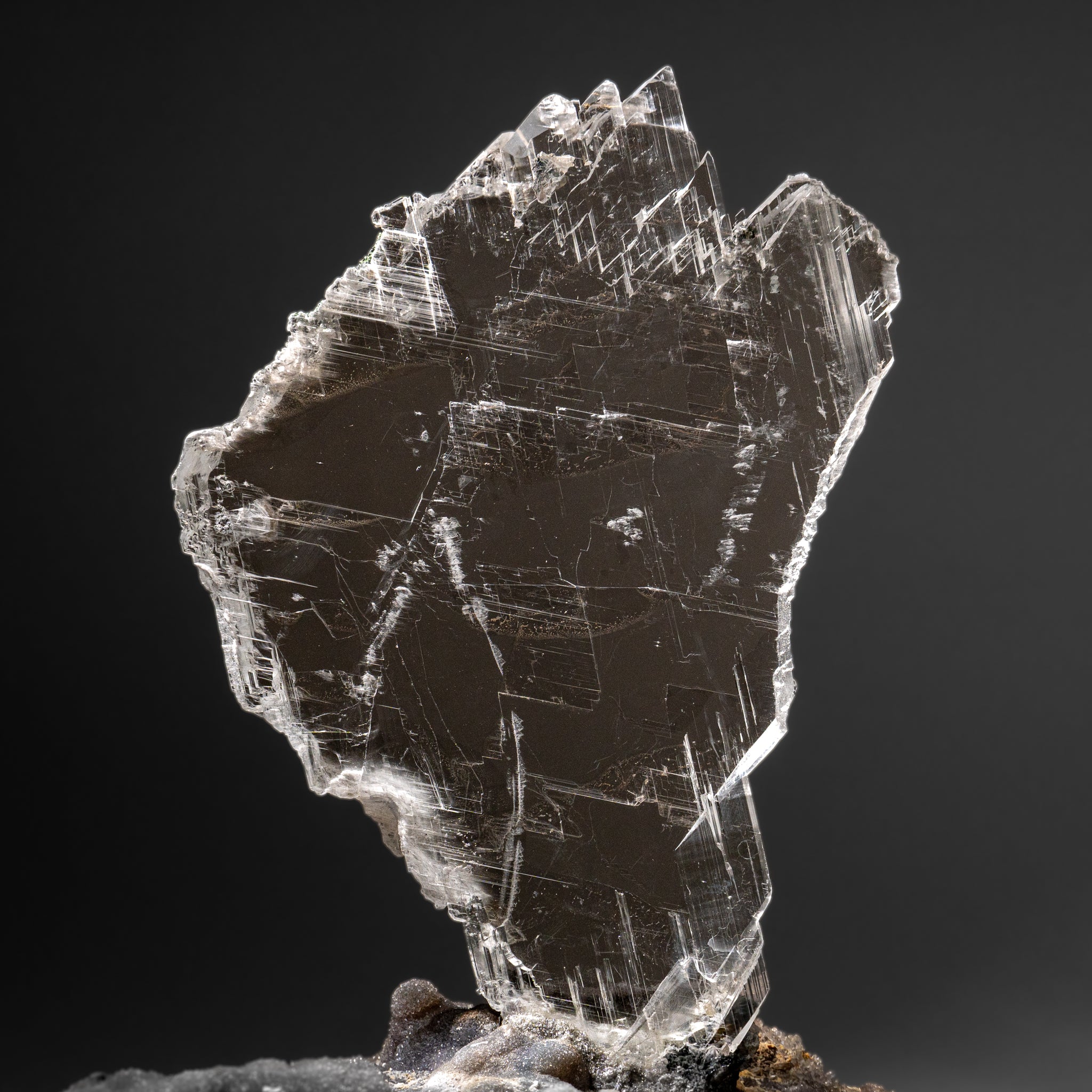Gypsum Var. Selenite on Matrix from Rio Grande do Sul, Brazil (11.5 lbs)