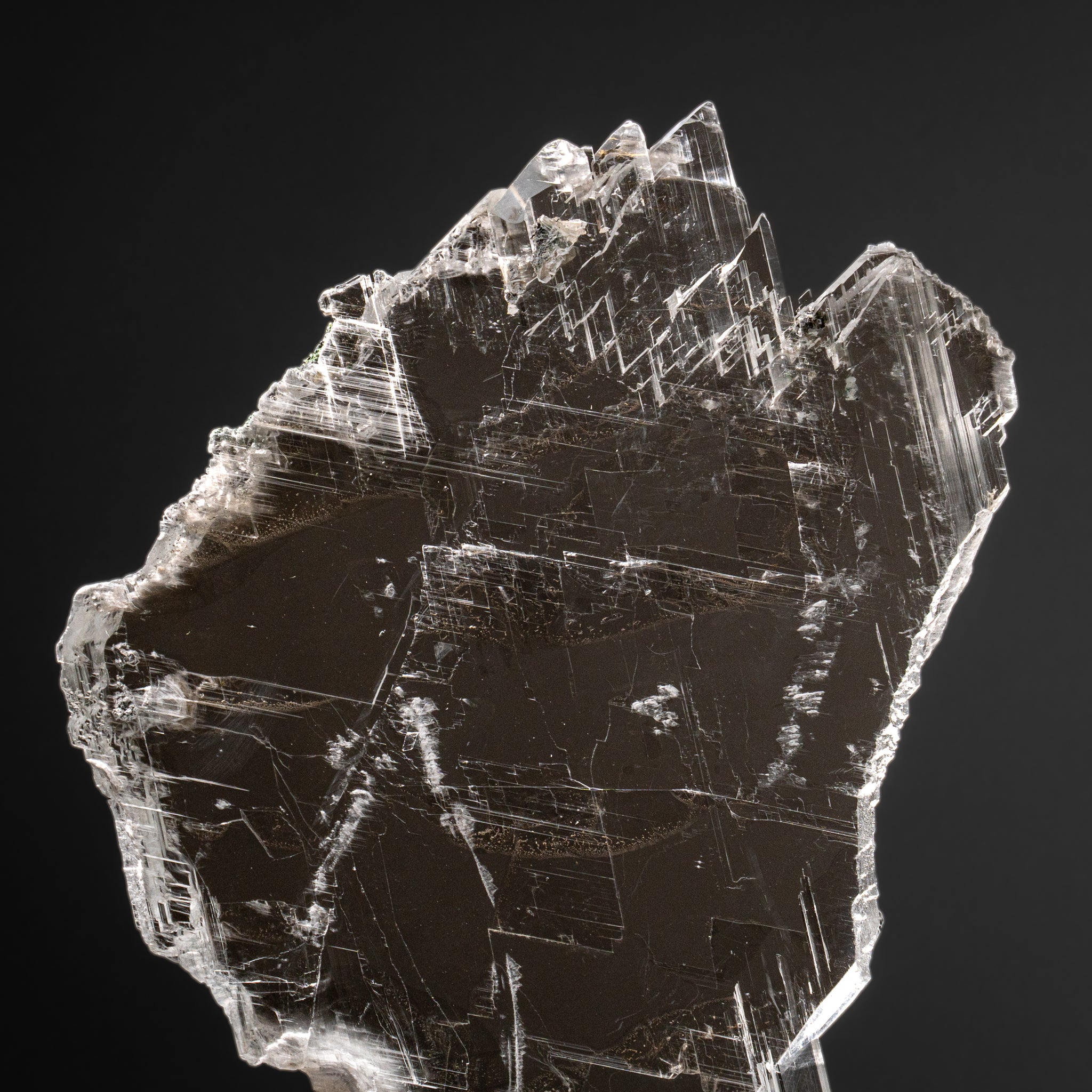 Gypsum Var. Selenite on Matrix from Rio Grande do Sul, Brazil (11.5 lbs)