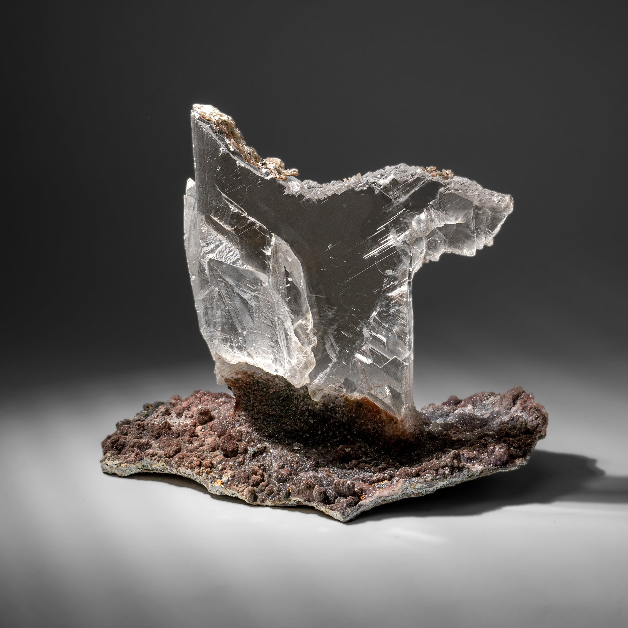 Gypsum Var. Selenite on Matrix from Rio Grande do Sul, Brazil (16 lbs)