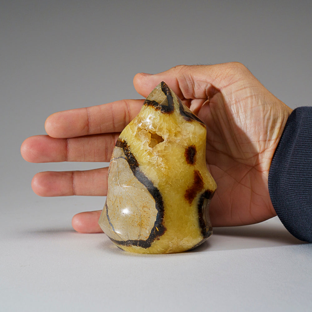 Polished Septarian Flame Freeform from Madagascar (1.4 lbs)