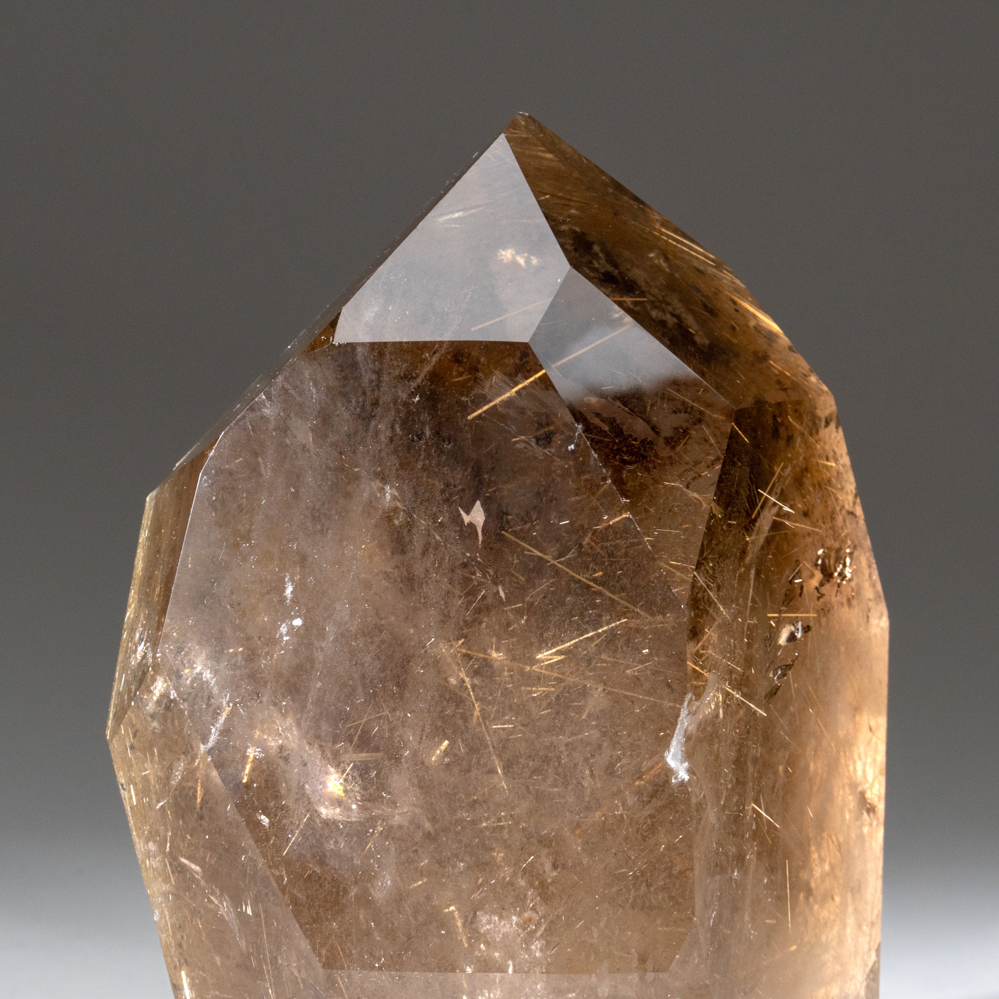 Museum Quality Silver Rutilated Quartz Point from Brazil (7 lbs)