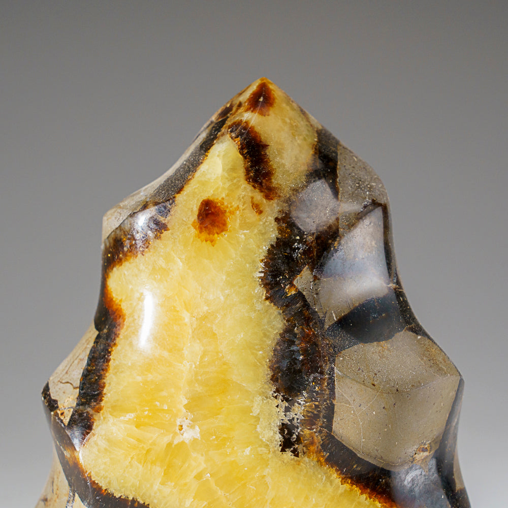 Polished Septarian Flame Freeform from Madagascar (1.8 lbs)