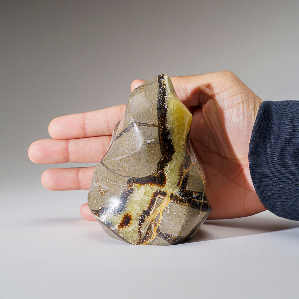 Polished Septarian Flame Freeform from Madagascar (1.5 lbs)