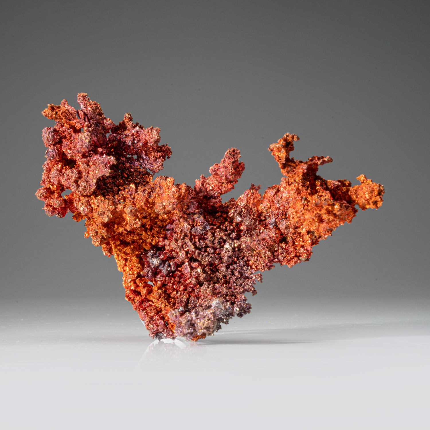 Copper Crystal Cluster from Chengmenshan Mine, Jiangxi Province, China