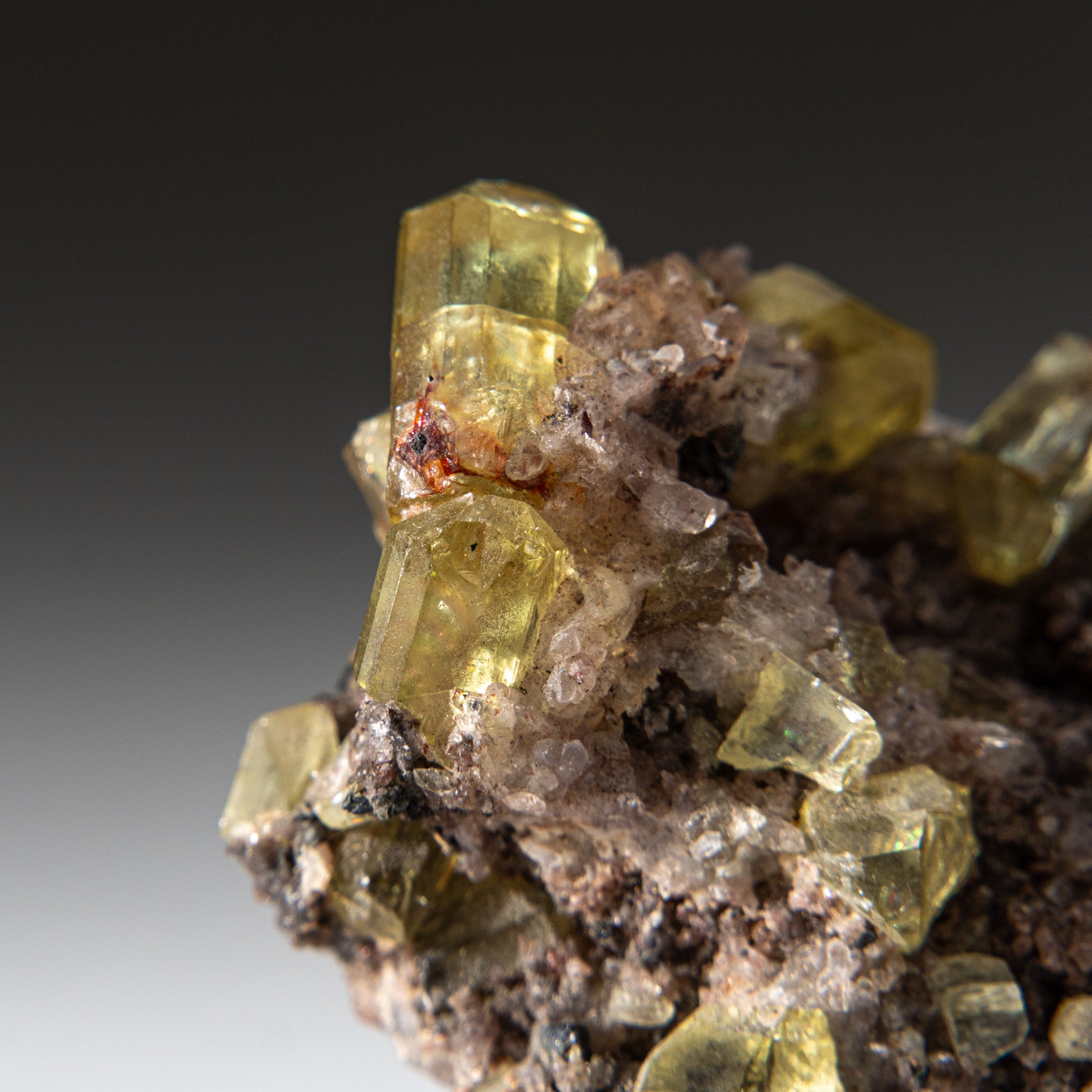 Fluorapatite crystals in Quartz from Cerro de Mercado, Durango, Mexico