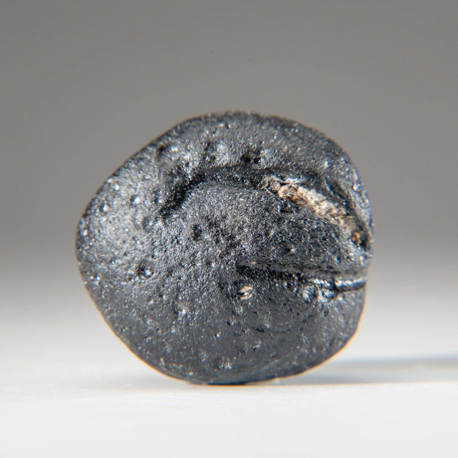 Genuin Museum Quality Indochinite Tektite (92.5 grams)