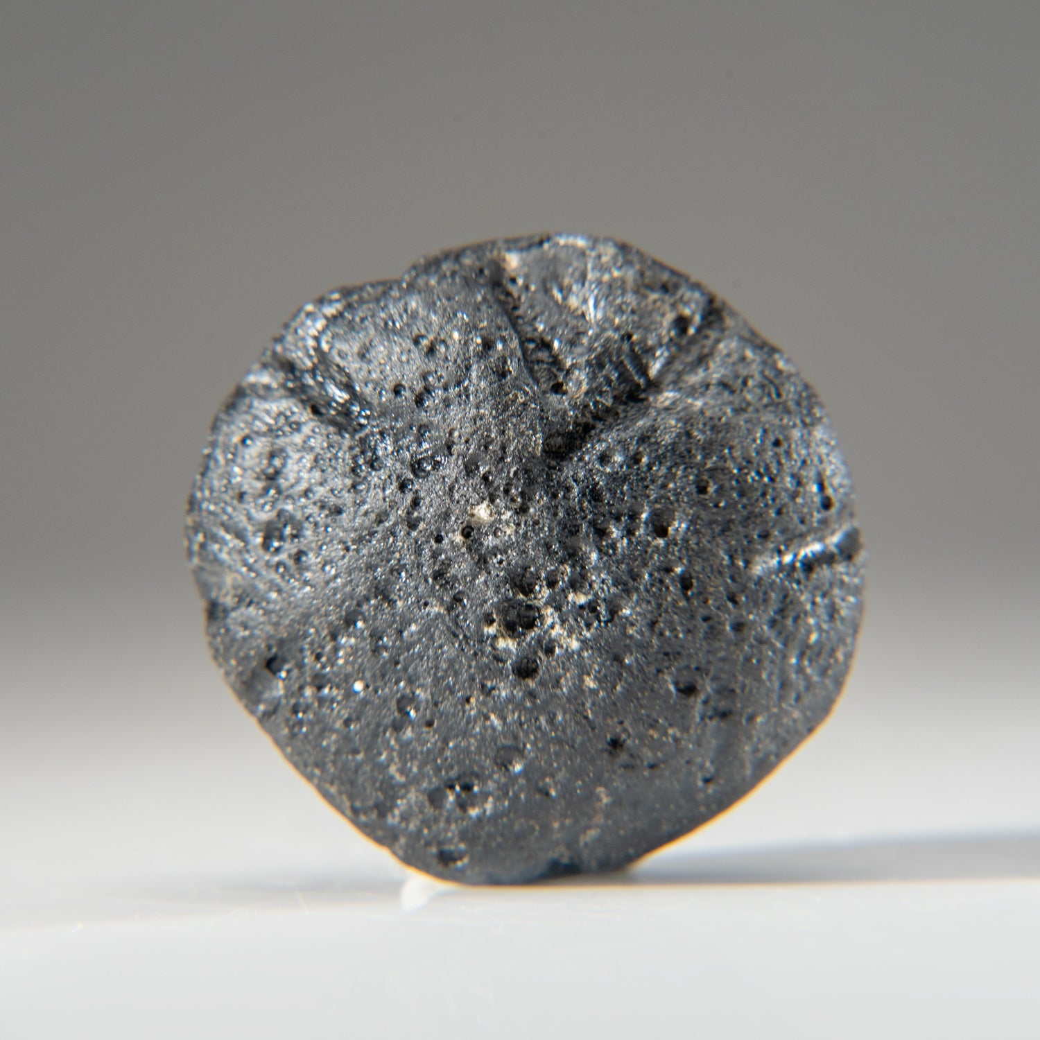 Genuine Museum Quality Indochinite Tektite (73.2 grams)