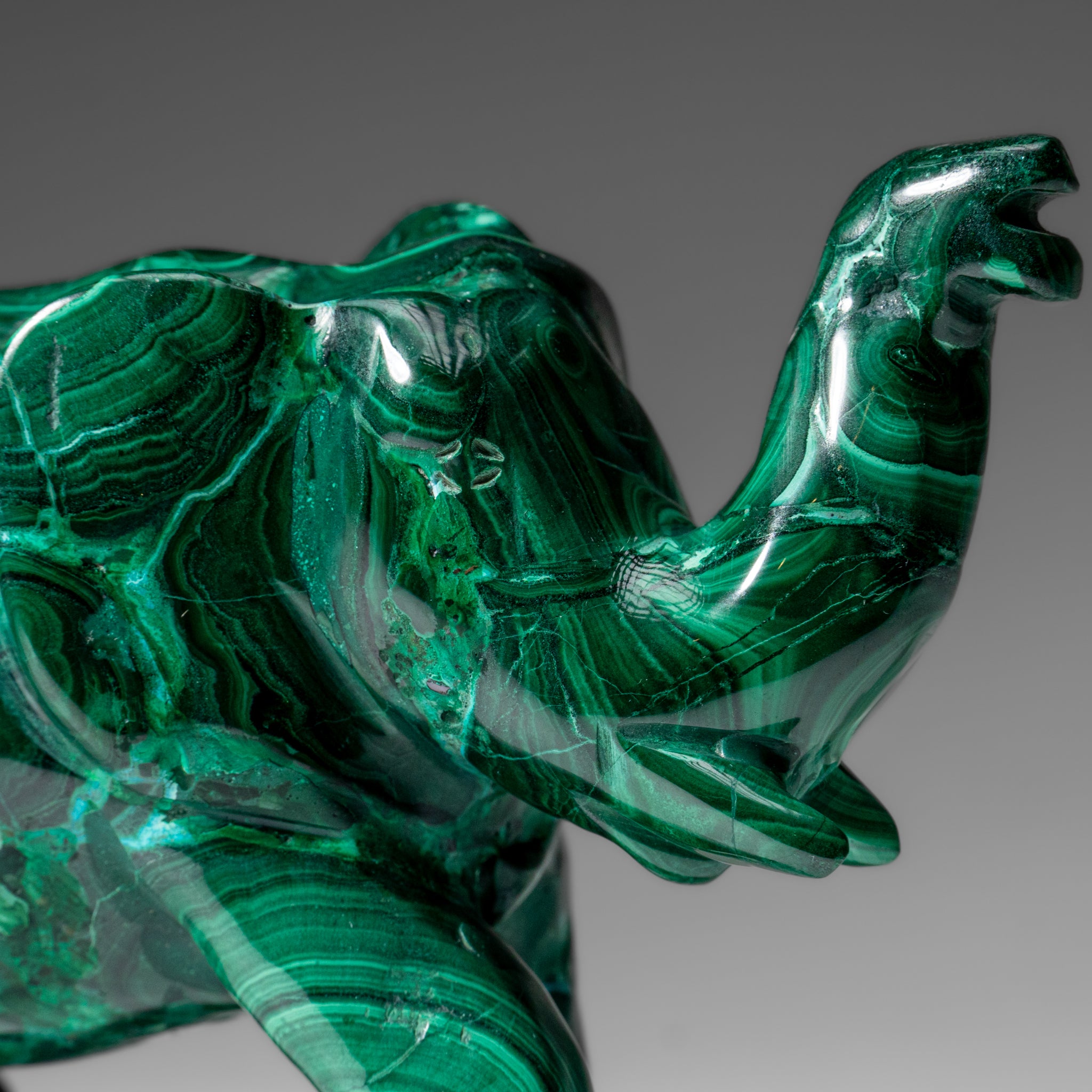 Genuine Polished Malachite Elephant Carving (3.1 lbs)