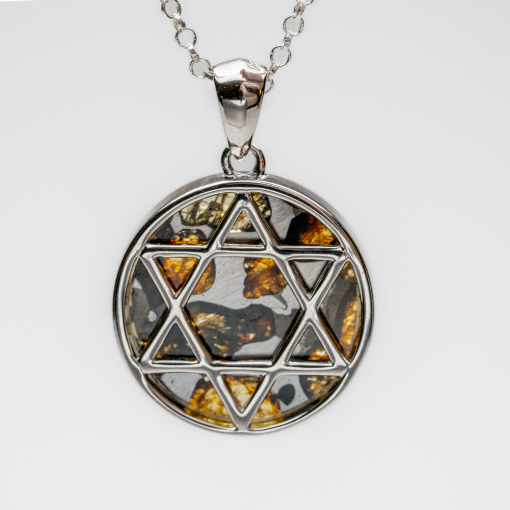 Sericho Pallasite Meteorite Pendant with 18" Sterling Silver Chain