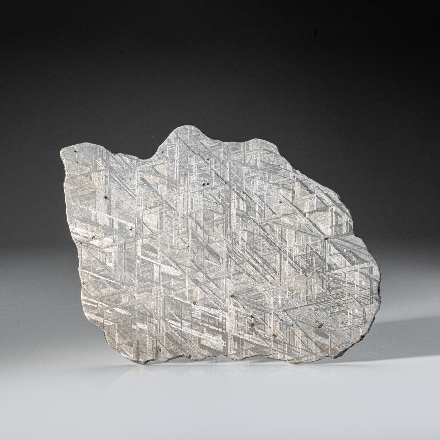 Genuine Muonionalusta Meteorite Slice (412.6 grams)