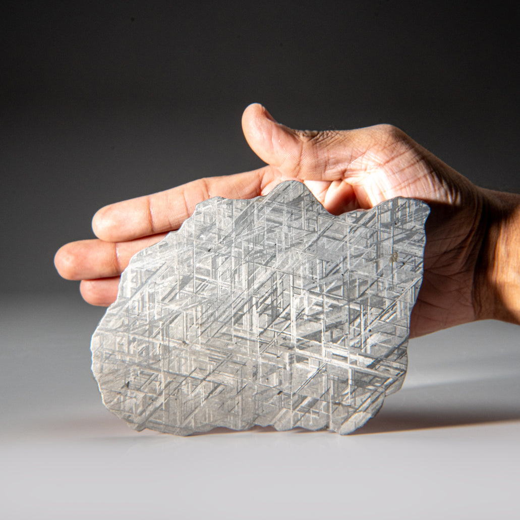 Genuine Muonionalusta Meteorite Slice (412.6 grams) — Astro