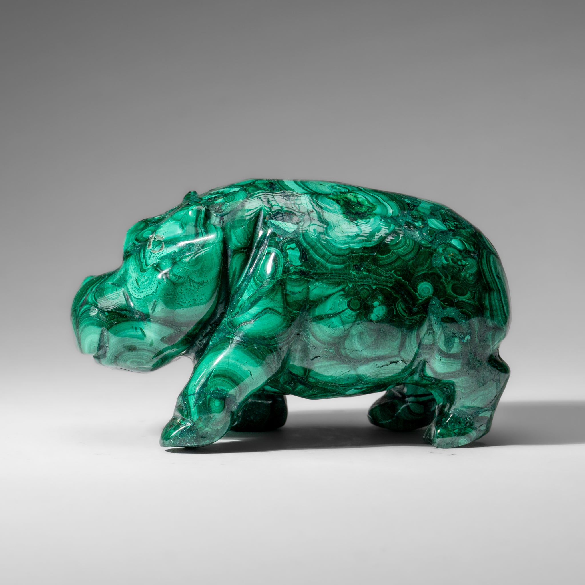 Genuine Polished Malachite Hippo Carving (2.9 lbs)