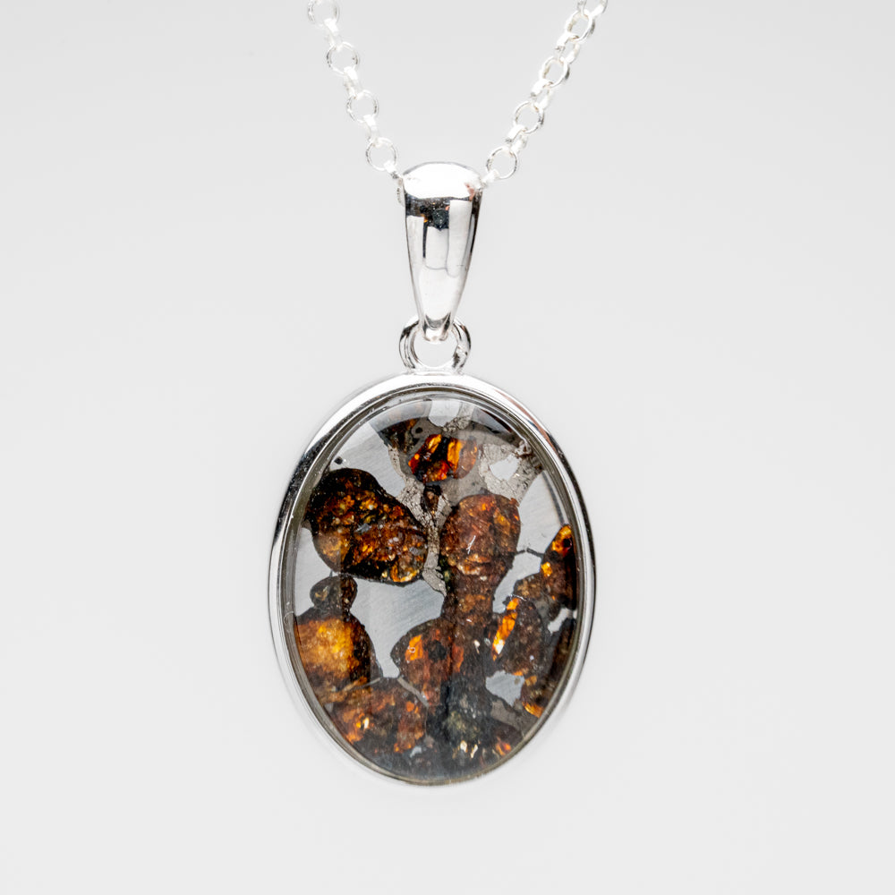 Sericho Pallasite Meteorite Oval Pendant with 18" Sterling Silver Chain