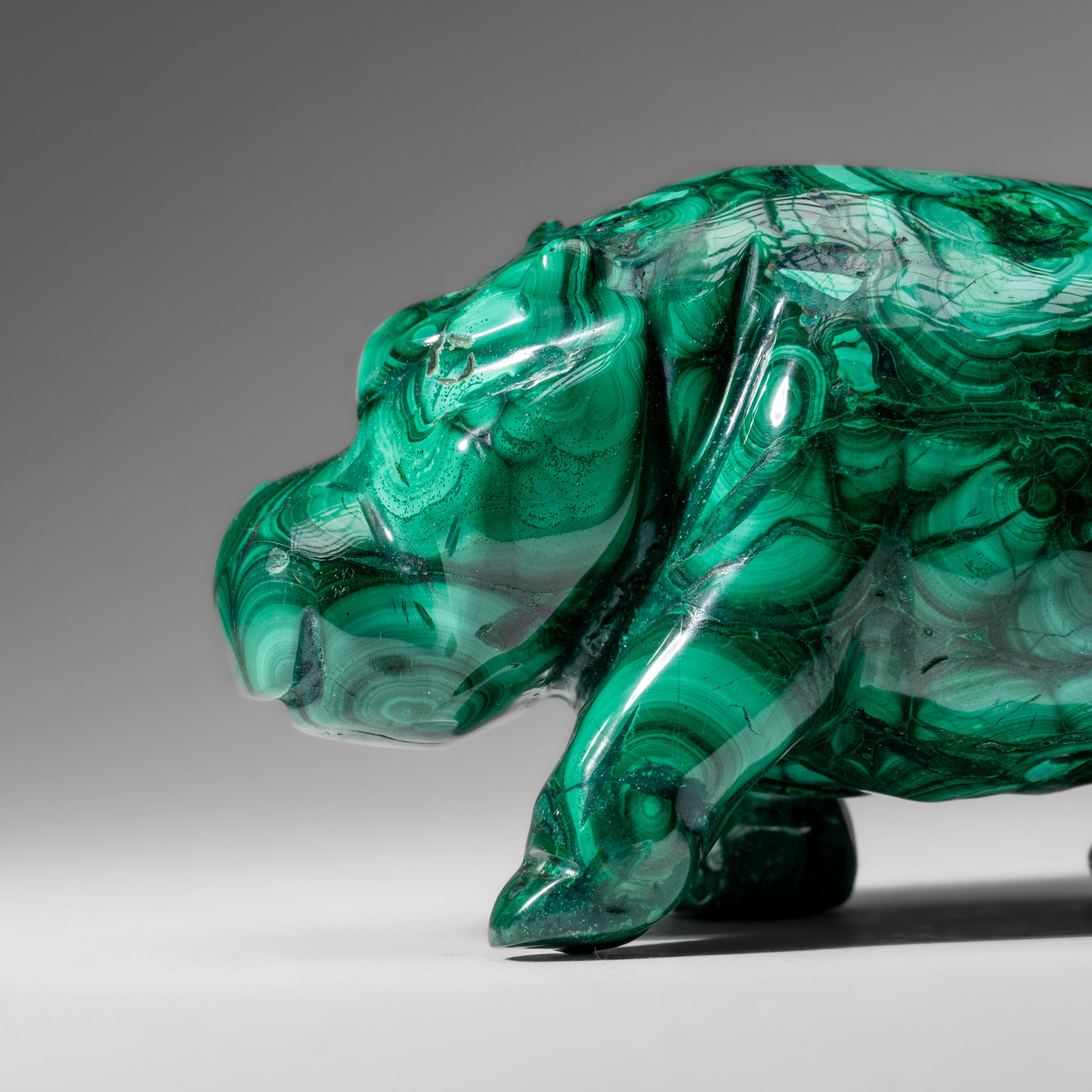 Genuine Polished Malachite Hippo Carving (2.9 lbs)