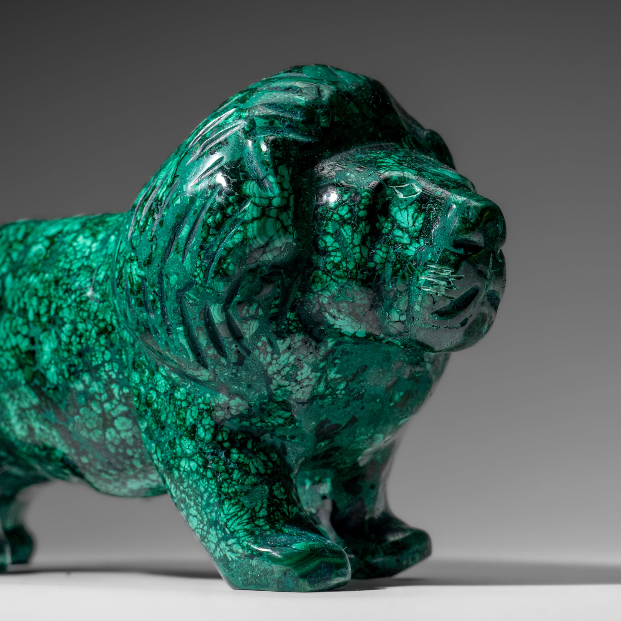 Genuine Polished Malachite Lion Carving (5.6 lbs)