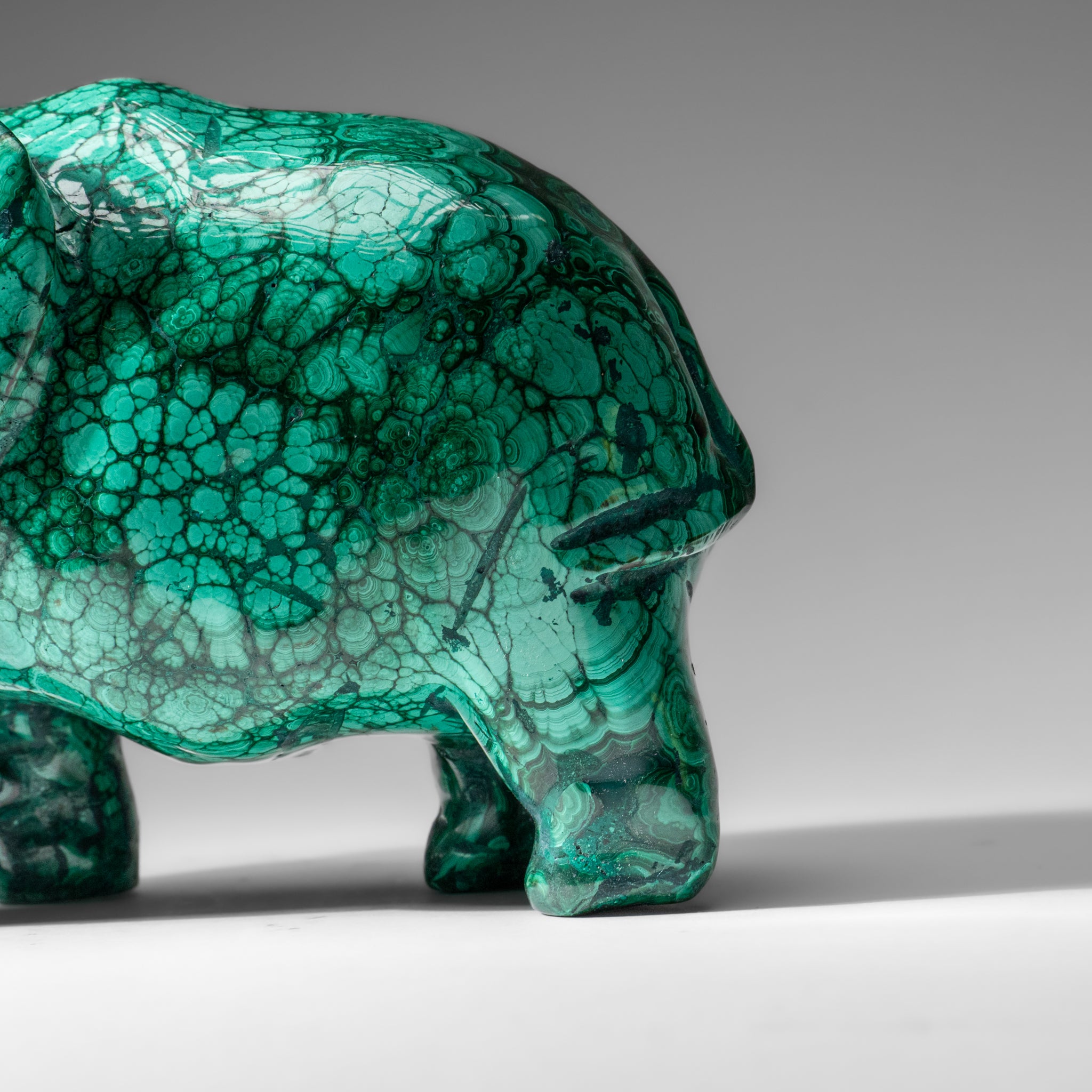 Genuine Polished Malachite Elephant Carving (6.5 lbs)