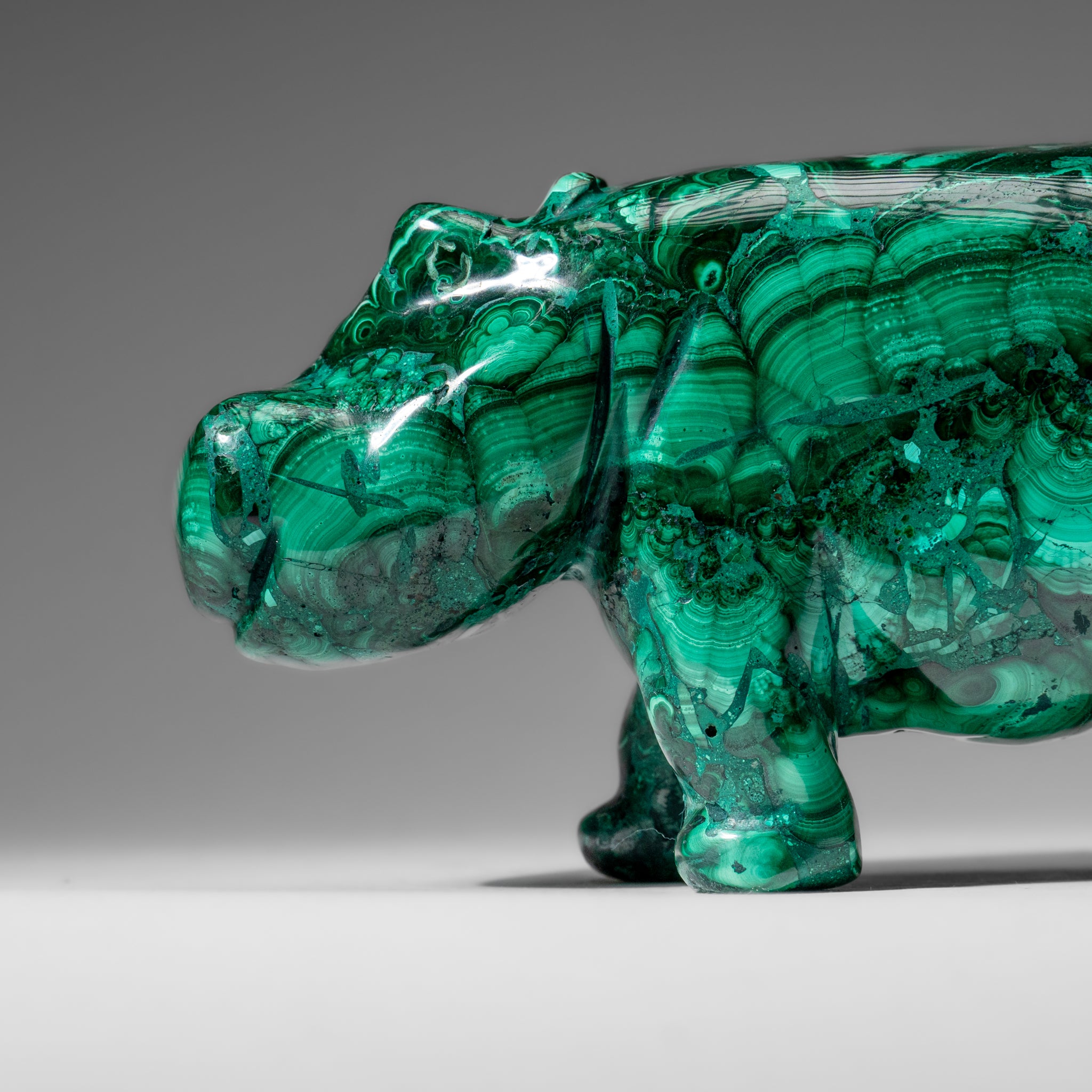 Genuine Polished Malachite Hippo Carving (4.1 lbs)