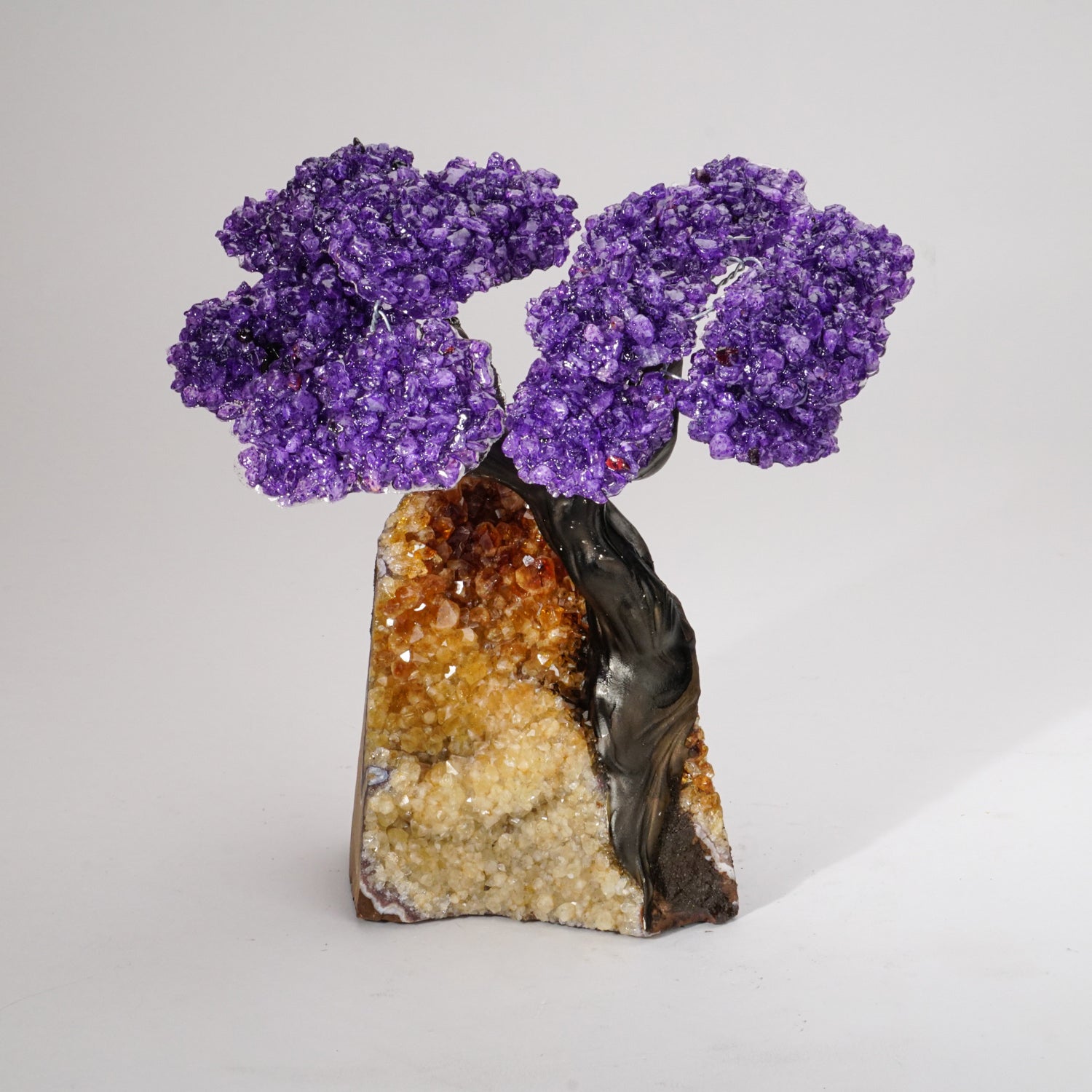Genuine Amethyst Clustered Gemstone Tree on Citrine Matrix - The Empowerment Tree - (7 inches)