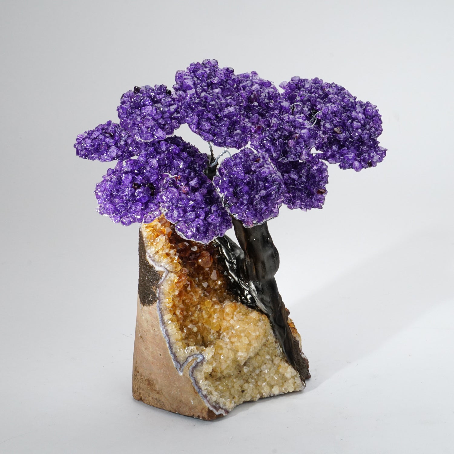 Genuine Amethyst Clustered Gemstone Tree on Citrine Matrix - The Empowerment Tree - (7 inches)