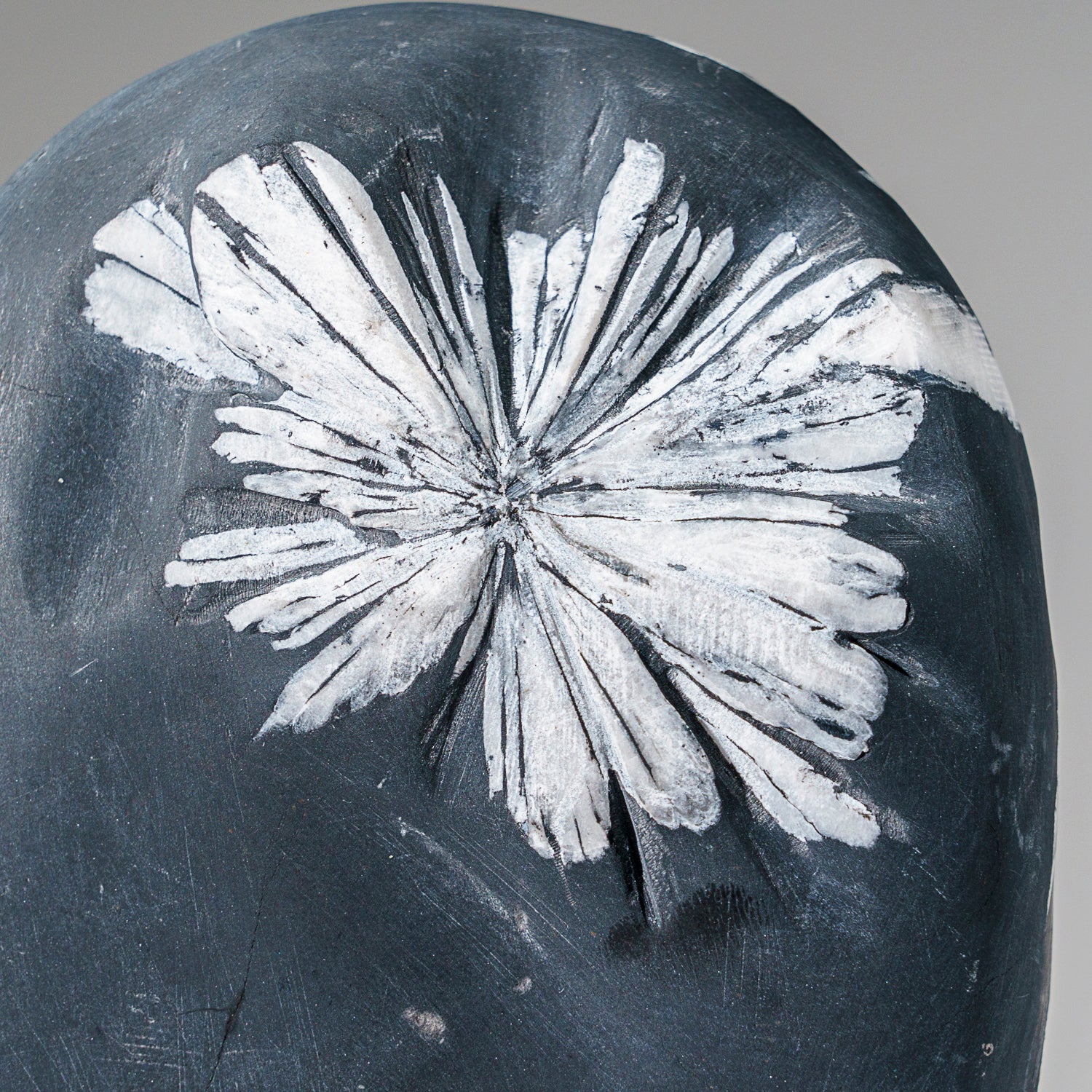 Chrysanthemum Stone Fossil from China (2.6 lbs)