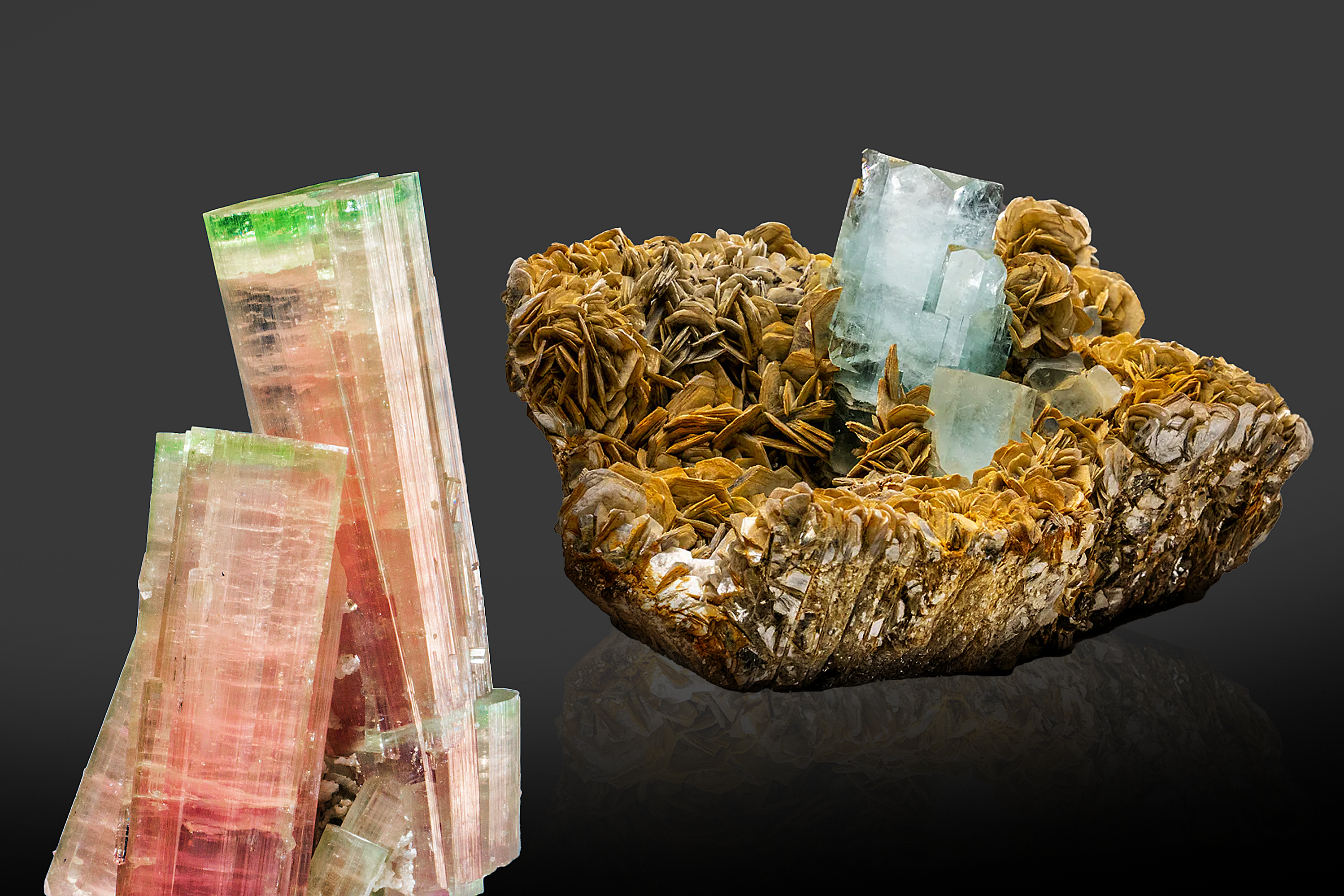 Astro Gallery of Gems, Minerals and Fossils