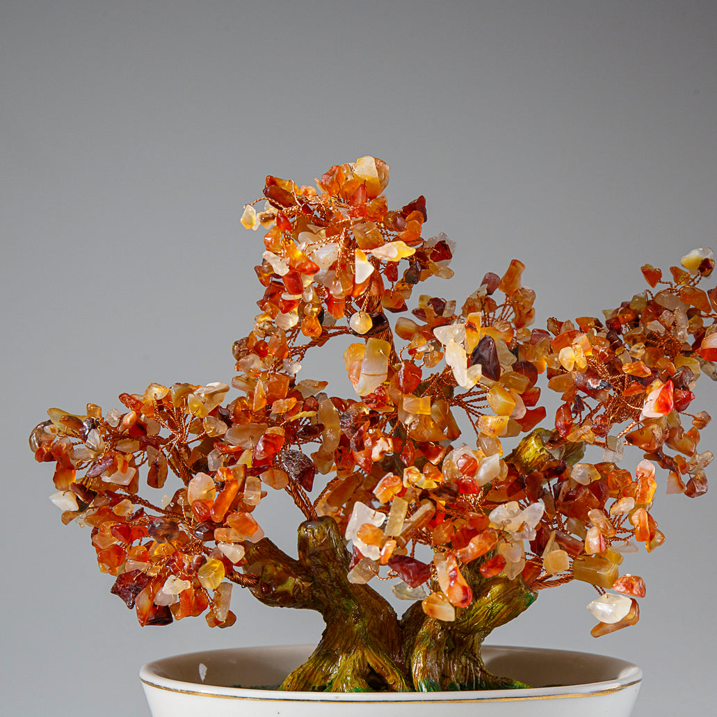 carnelian bonsai tree Genuine Carnelian Gemstone Bonsai Tree in Oval Ceramic Pot (8” Tall)