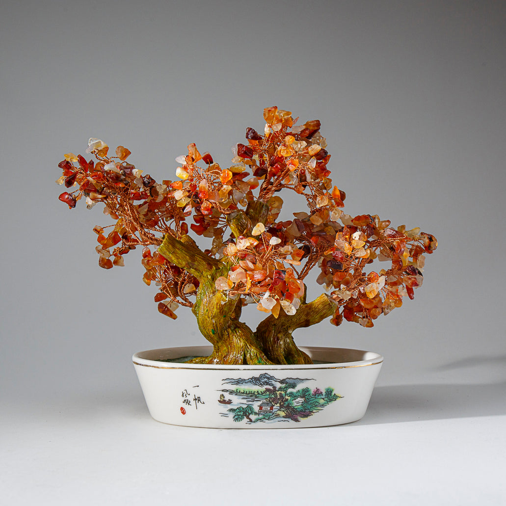 bonsai gemstone tree Genuine Carnelian Gemstone Bonsai Tree in Oval Ceramic Pot (8” Tall)
