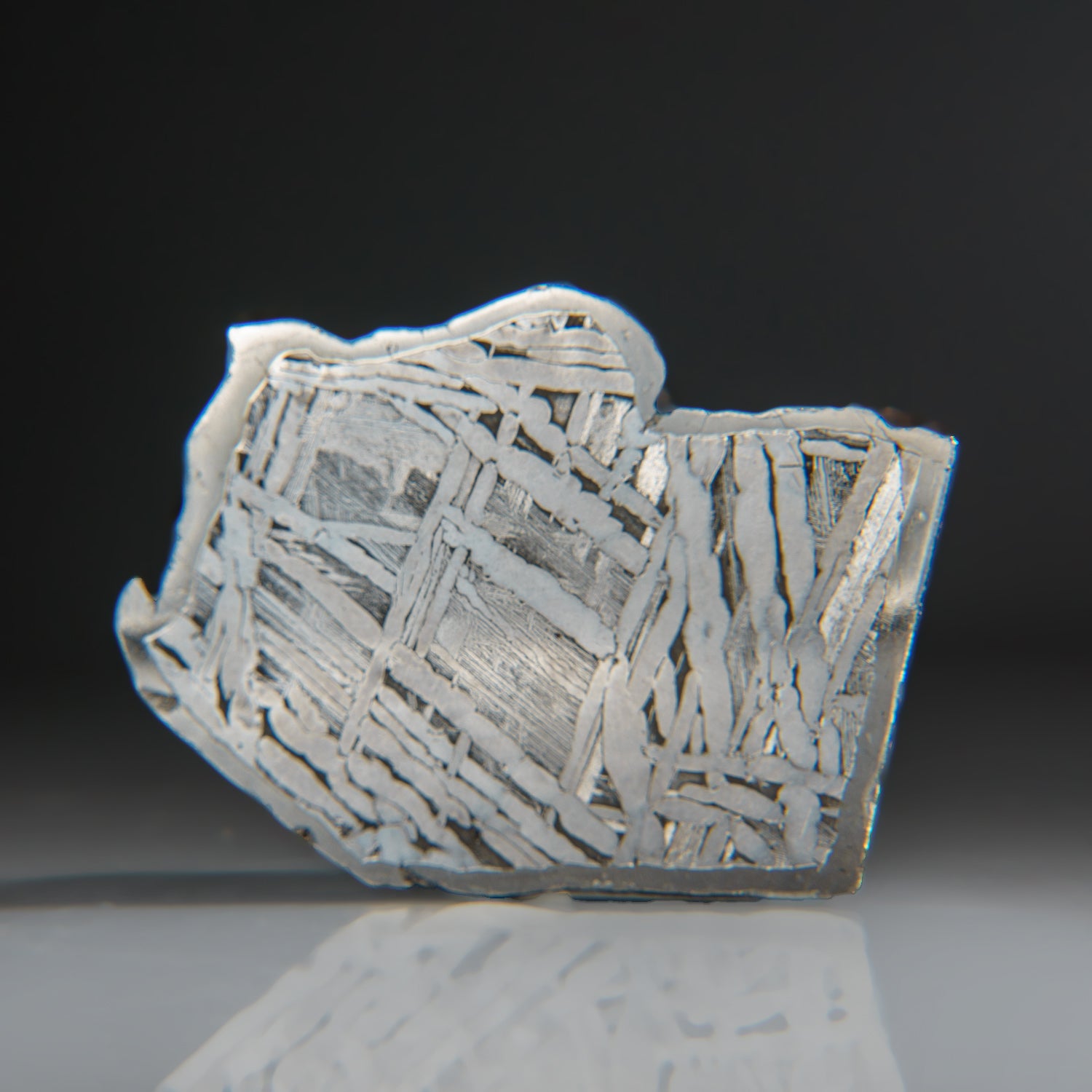 Genuine Muonionalusta Meteorite Slice (95.7 grams)