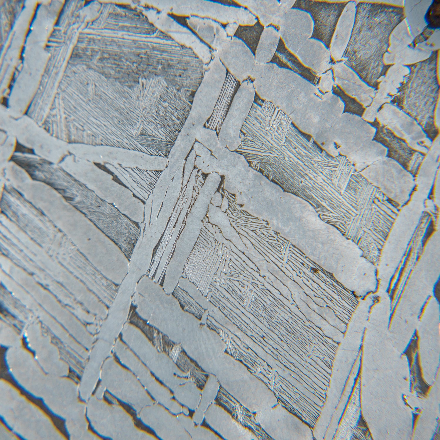 Genuine Muonionalusta Meteorite Slice (95.7 grams)