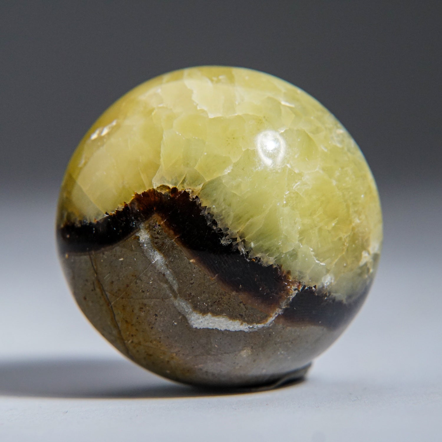 Genuine Polished Septarian Palm Stone