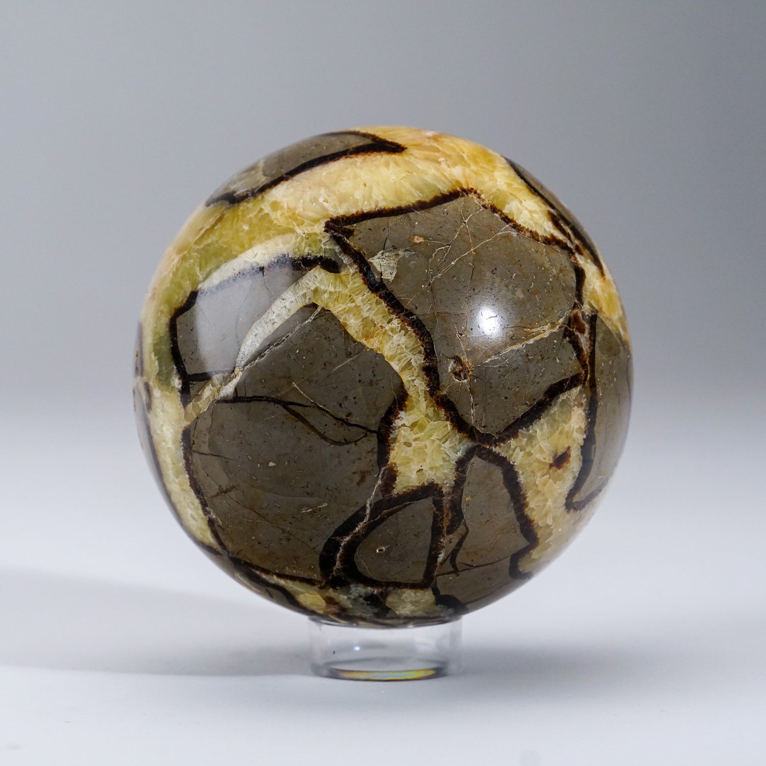 Polished Septarian Sphere from Madagascar (3.3 lbs)