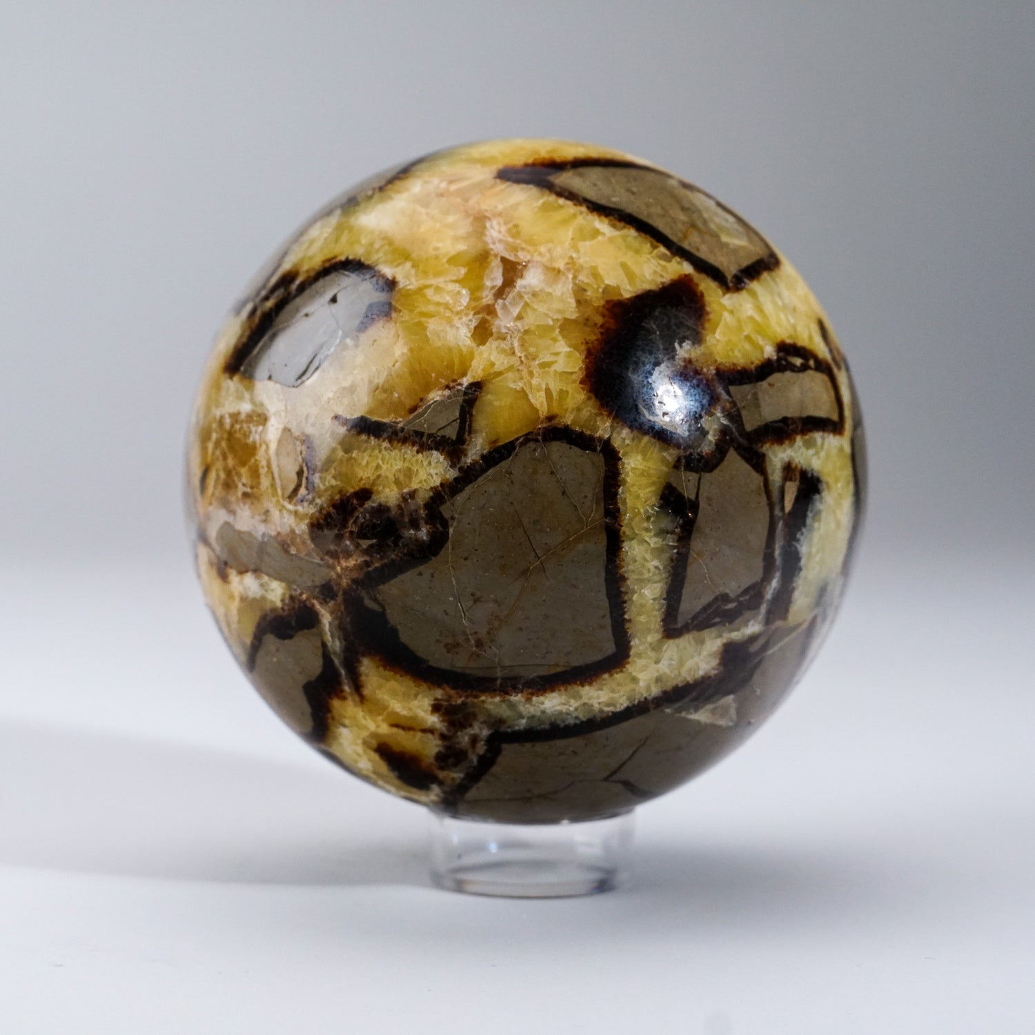 Polished Septarian Sphere from Madagascar (3.3 lbs)