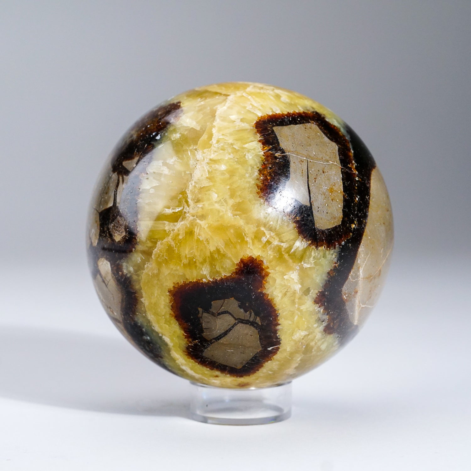 Polished Septarian Sphere from Madagascar (4.5 lbs)