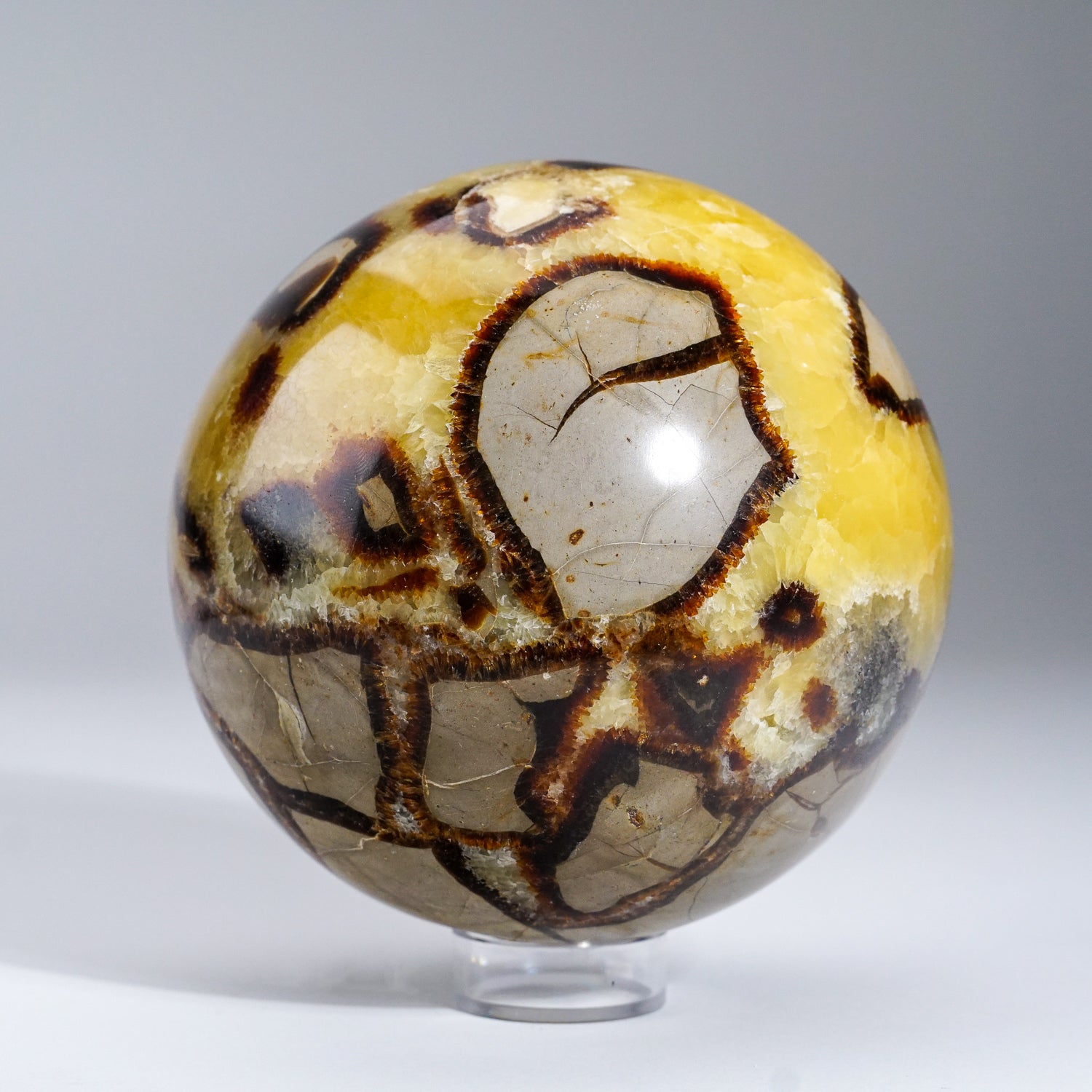 Polished Septarian Sphere from Madagascar (4.5 lbs)