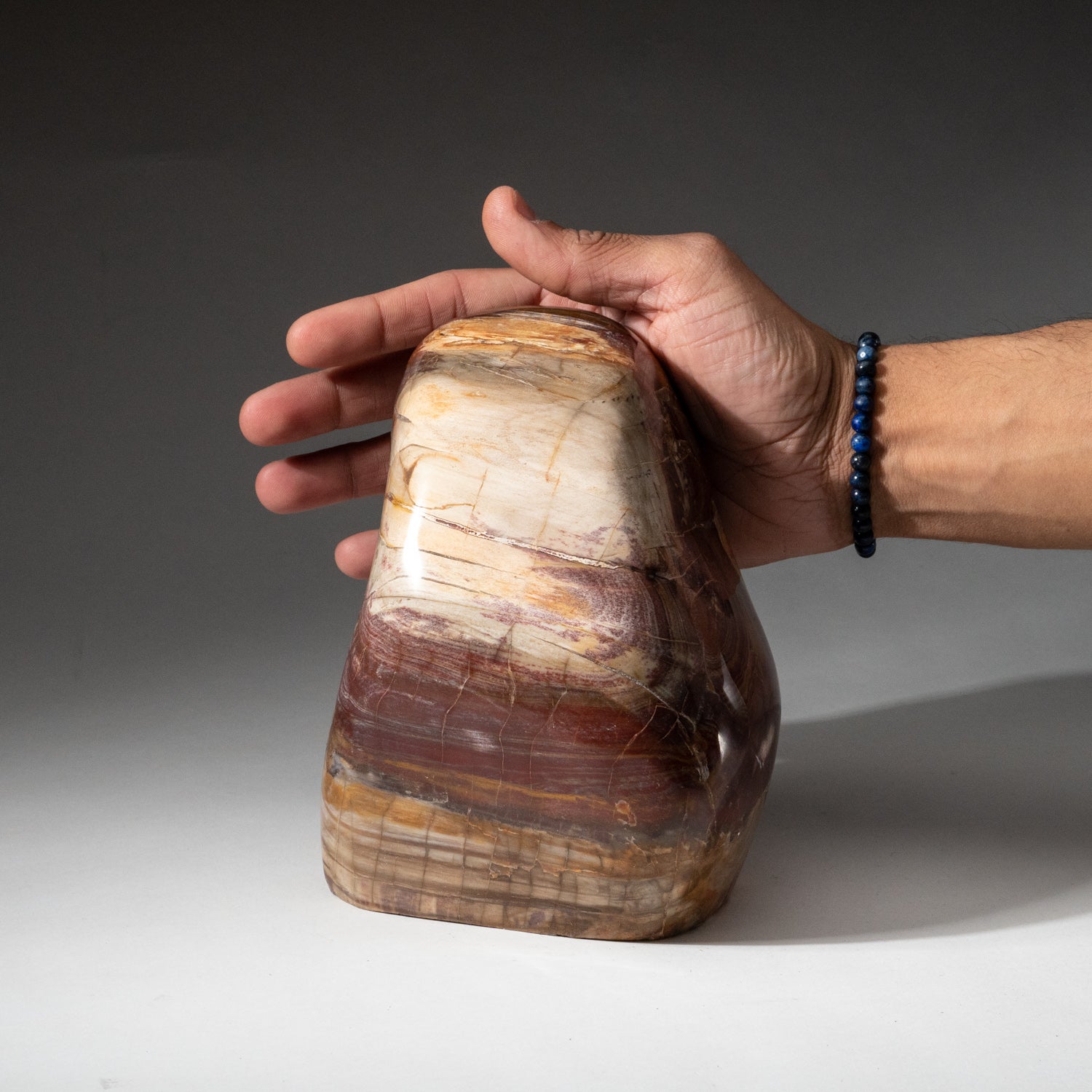 Polished Petrified Wood Freeform from Madagascar (8.2 lbs)