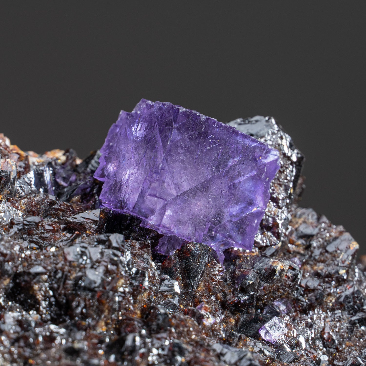 Purple Fluorite Crystals on Sphalerite from Elmwood Mine, Carthage, Smith County, Tennessee