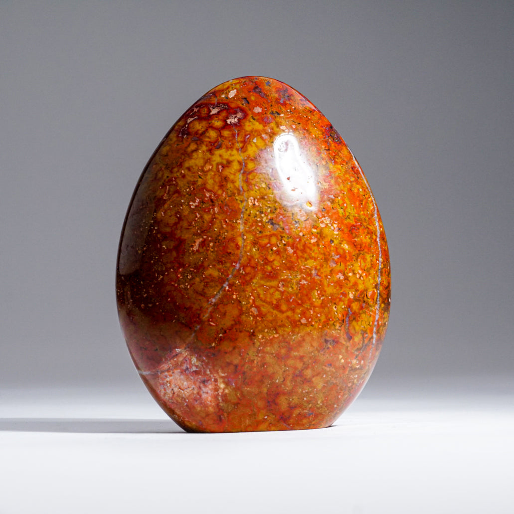 Polished Ocean Jasper from Madagascar (3 lbs)