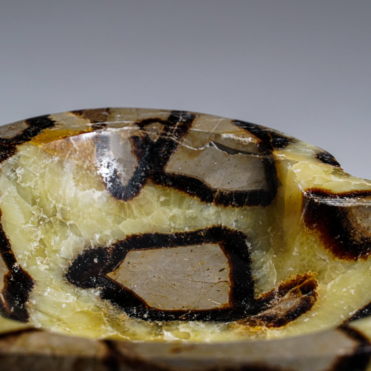 Polished Septarian Heart Shaped Dish (2 lbs)