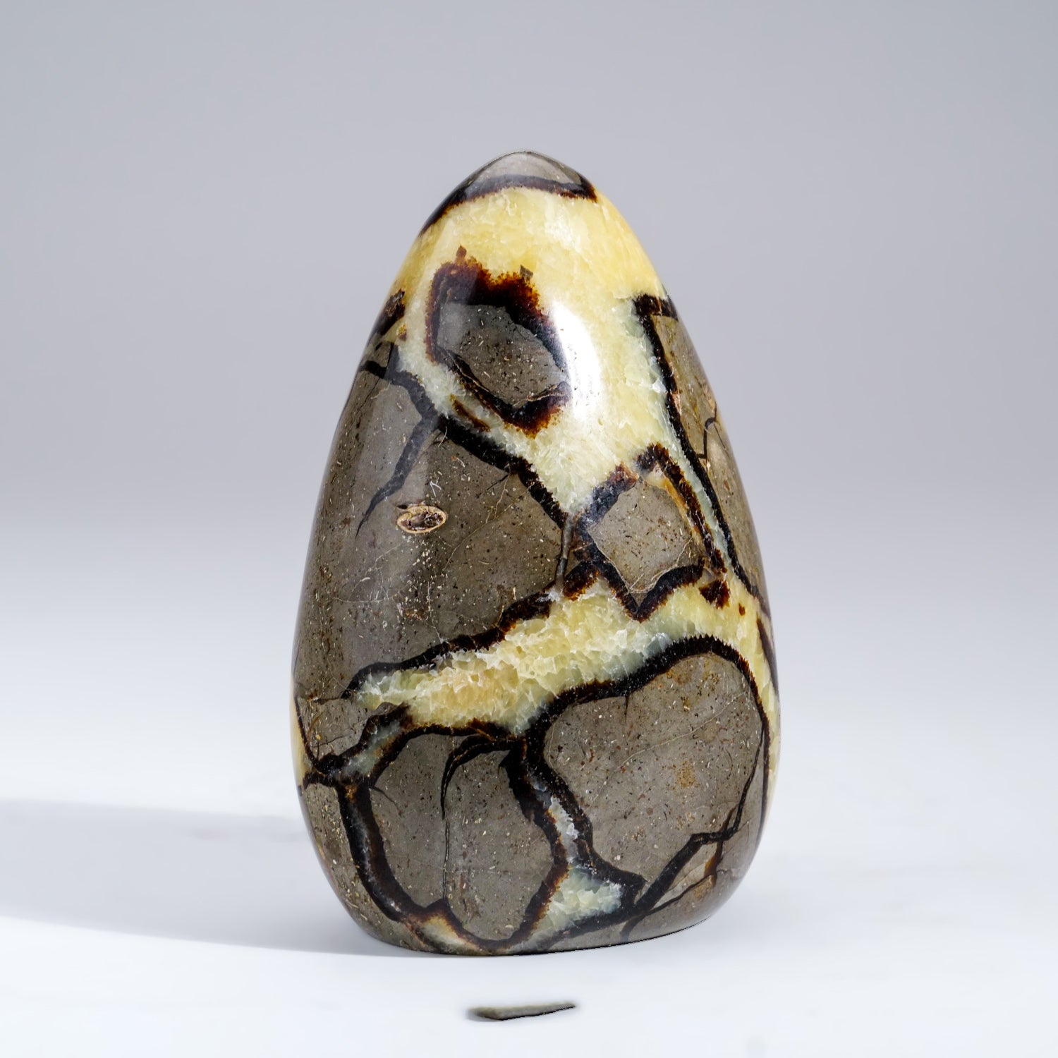 Polished Septarian Freeform from Madagascar (1.6 lbs)