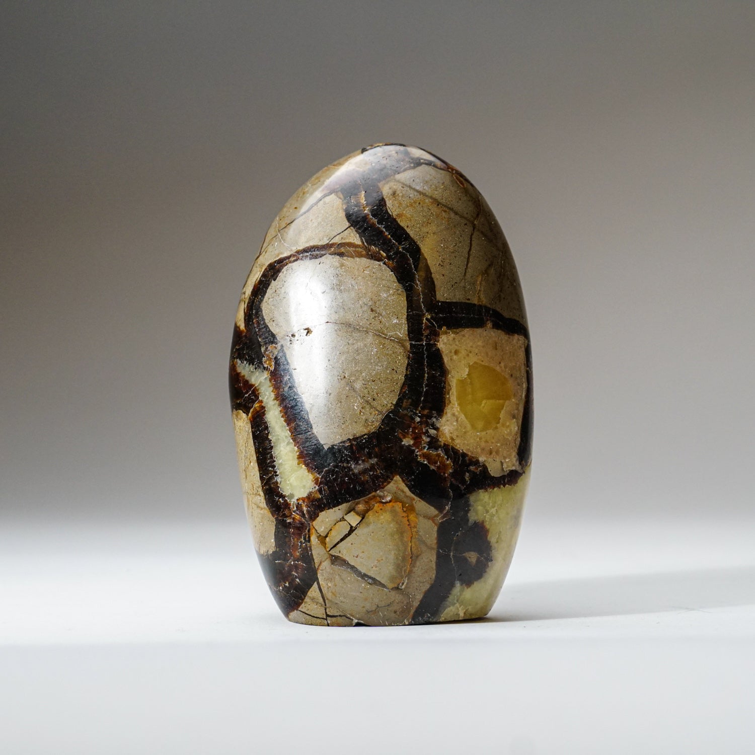 Polished Septarian Freeform from Madagascar (1.6 lbs)