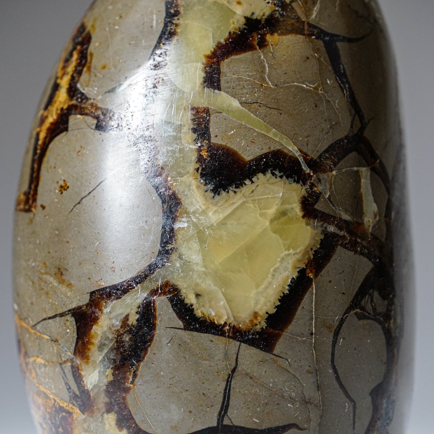 Polished Septarian Freeform from Madagascar (1.8 lbs)