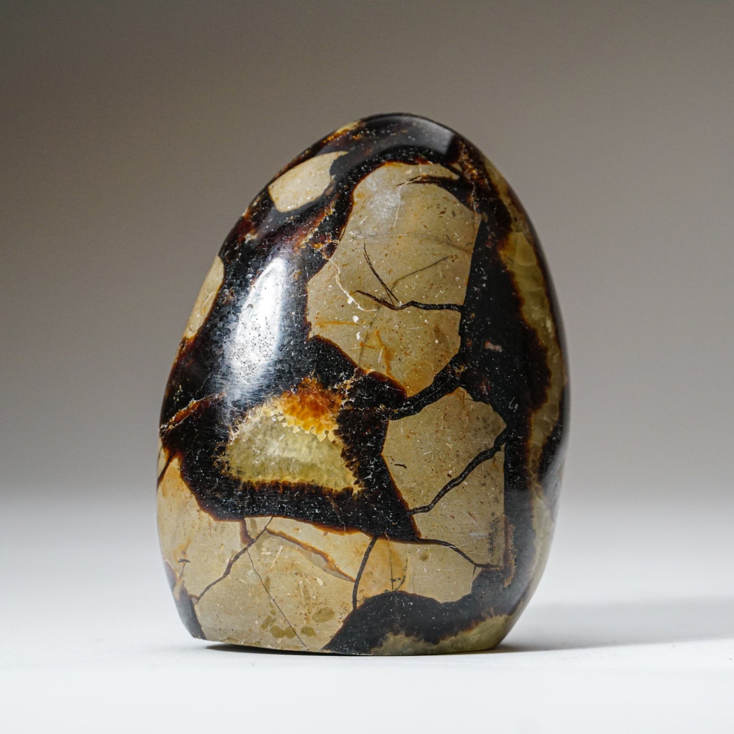Polished Septarian Freeform from Madagascar (1 lbs)
